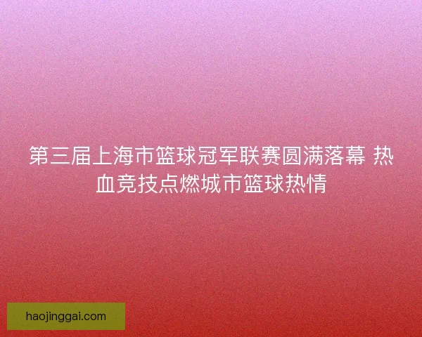 第三届上海市篮球冠军联赛圆满落幕 热血竞技点燃城市篮球热情